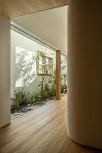 A minimalist entryway features a concrete and wooden floor with a small garden area next to it.
