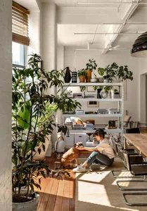 A modern living room with plants, a bookshelf, and a person sitting on the floor with a dog.