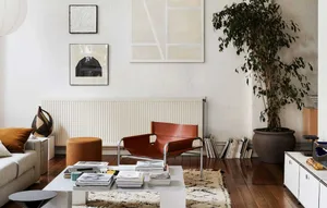 A modern minimalist living room featuring wood flooring, indoor plants in a clay pot, and leather furniture.