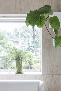 A modern interior space featuring a white leather sofa, green leafy plants in pots, and a window with a wooden frame.