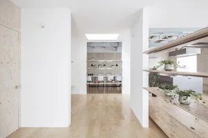 A modern minimalist kitchen with wooden flooring and white walls featuring a skylight and green plants.