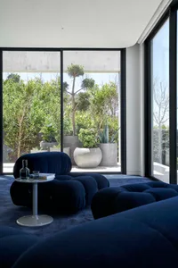 Modern living room featuring a blue sofa and potted plants outdoors