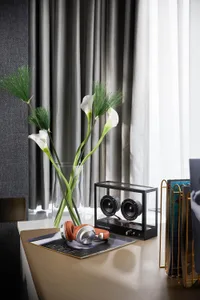 A modern minimalist bedroom featuring a sleek, contemporary design with a focus on simplicity and elegance.