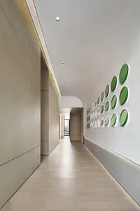 A modern minimalist corridor with wooden walls and green circular decorations on the right wall.
