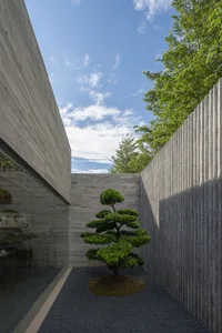 A minimalist outdoor space featuring a concrete wall and a neatly pruned tree, with a clear blue sky in the background.