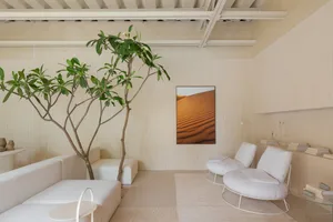 A minimalist living room with white furniture and a tree decoration