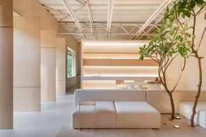 A contemporary minimalist living room with neutral-colored materials and a central potted tree