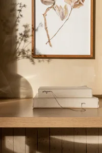 Modern shelving unit with beige canvas and wire绑带装饰，背景为浅色墙面和植物阴影。