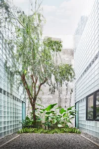 A minimalist green space surrounded by glass-brick walls.