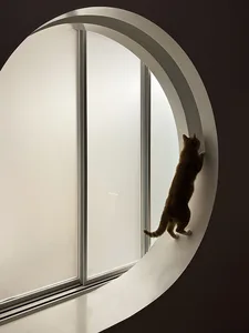 An orange tabby cat climbing the ledge of a large, circular glass window.