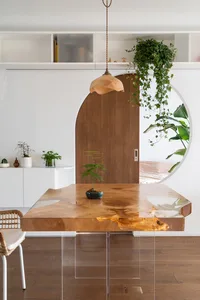 A minimalist living room with a wooden coffee table, hanging plant, and white shelves.