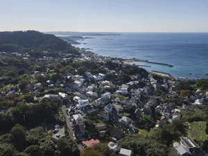 Aerial view of a coastal residential neighborhood with houses nestled among lush greenery.