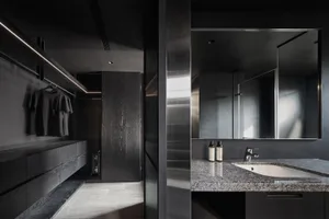 Modern luxurious bathroom with blackwood cabinets, granite countertop, and minimalist design.