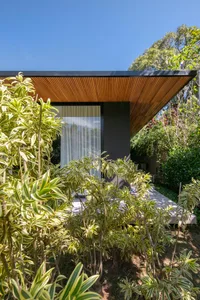 Modern house exterior with wooden roof and green foliage