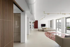 Modern minimalist living room featuring concrete and wood materials