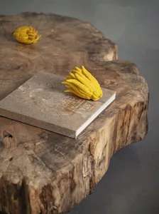 A modern coffee table featuring a rustic, natural wood slab with a book and lemon-shaped objects.