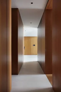 Modern interior design corridor featuring minimalist wooden walls and flooring.