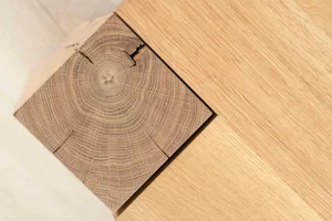 A close-up view of a modern interior design featuring a wooden floor with visible annual rings and a clean, minimalist aesthe