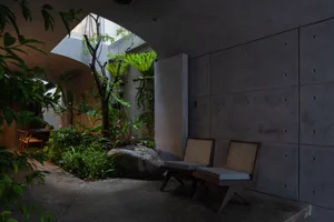 Modern industrial-style interior with concrete walls, wood furniture, and greenery.