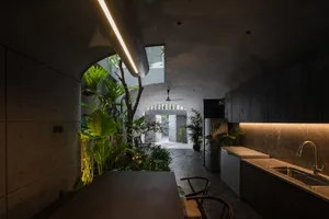Industrial minimalist kitchen with concrete walls, dark cabinets, and open space with plants.