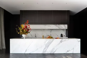 Modern minimalist residential kitchen featuring marble countertops and backsplash with a vase of autumn flowers and various f
