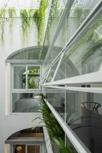 Modern greenhouse with glass walls and green plants inside