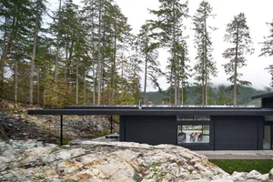 Modern residential exterior featuring black structure amidst tall pine trees in a coniferous forest.