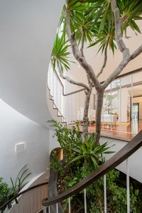 Modern staircase with greenery, wooden railings, and glass wall, featuring potted plants and natural light.