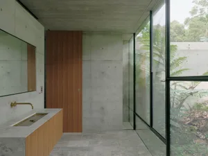 A modern bathroom with concrete walls, a wooden door, and large windows showing greenery outside.