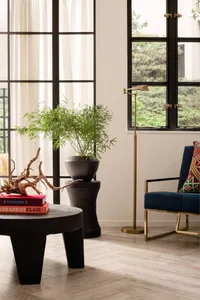 A minimalist living room featuring wood furnishings, a potted plant, and a floor lamp.