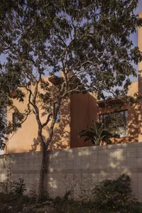 A modern exterior of a house with concrete walls and greenery