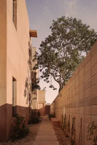 Concrete pathway surrounded by greenery in a modern architectural setting.