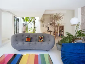 A modern living room featuring a gray sofa with colorful pillows, surrounded by green plants and a colorful striped rug.