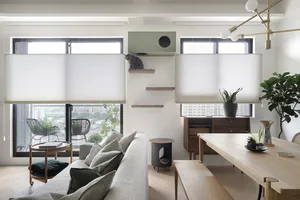 Modern residential living room featuring contemporary design with soft furnishings, wooden furniture, and a cat climbing shel