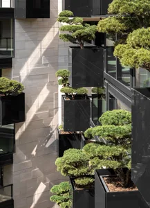 Urban greenery with bonsai trees in planters attached to a building exterior.