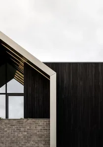 Modern building exterior featuring black cladding