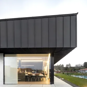Modern house with a black metal roof and glass window system.