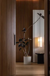 A modern residential interior featuring wood paneling and potted plants.
