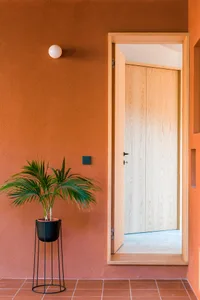 Minimalist entryway featuring a wooden door and a green plant.