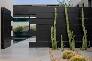 A modern architectural design featuring a black wooden wall and cacti on a concrete patio.