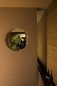 A minimalist interior design with wood elements