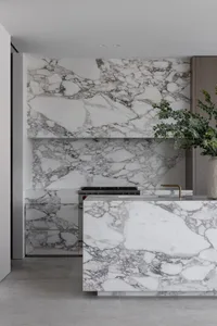 A modern kitchen with marble countertops and backsplash, featuring stainless steel appliances and a potted plant.