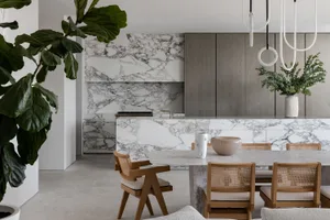A modern residential kitchen with marble countertops and greenery.