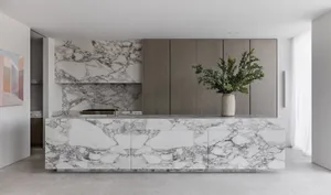 A modern minimalist kitchen featuring marble countertops and cabinets.