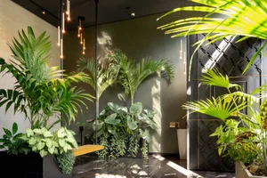 Lobby entrance with modern design, green plants, and hanging lights.