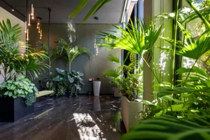 A modern lobby adorned with various tropical plants and large windows