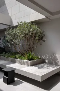 Concrete planters with green foliage in an architectural setting.