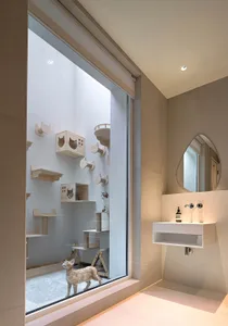 A cozy cat playroom features wooden shelves and structures for feline fun and relaxation within a contemporary interior desig