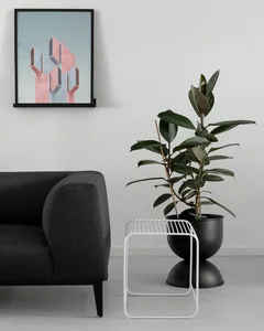 A modern interior featuring a grey sofa and a black plant pot with a lush plant inside.