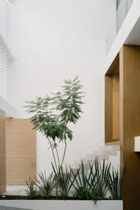 Modern staircase with green plants and wooden materials.